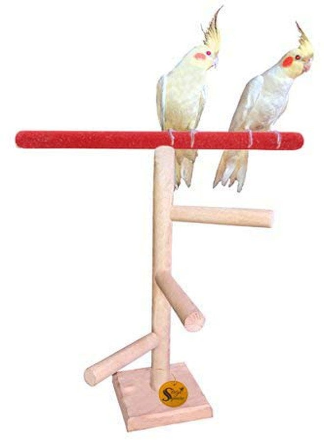 Sage Square 16Inches / 41cm Natural Wood Training Cum Exercise 3 Stairs Playful Perch Bird Top Sand Stand/Bird Toy - Image 2